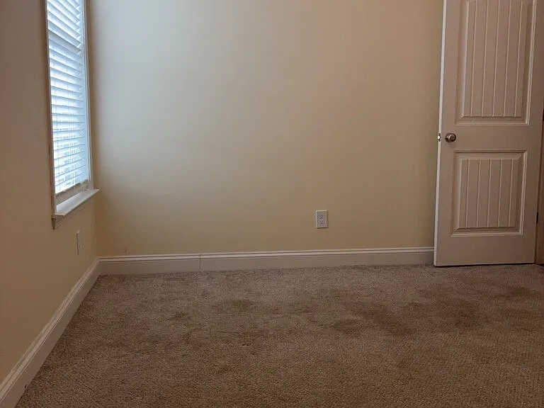 18 Forest Ridge Way — Photo 17