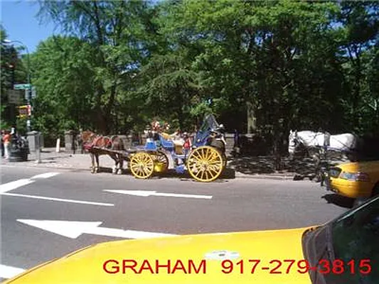 Rented by R New York | media 61