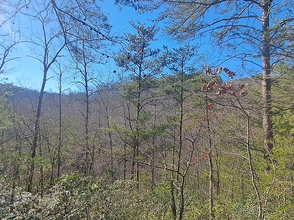 2nd image of Geisz Way