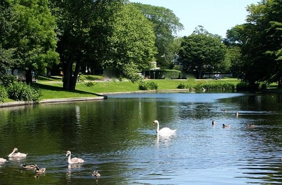 Village of East Hampton pond
