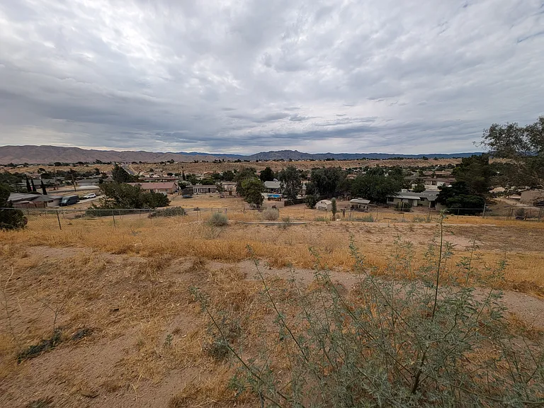 View from backyard