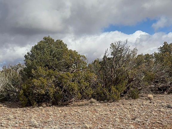 2nd image of 3A N 8716th