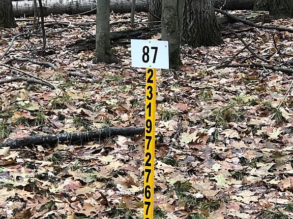 2nd image of 9364 Center Ln #87