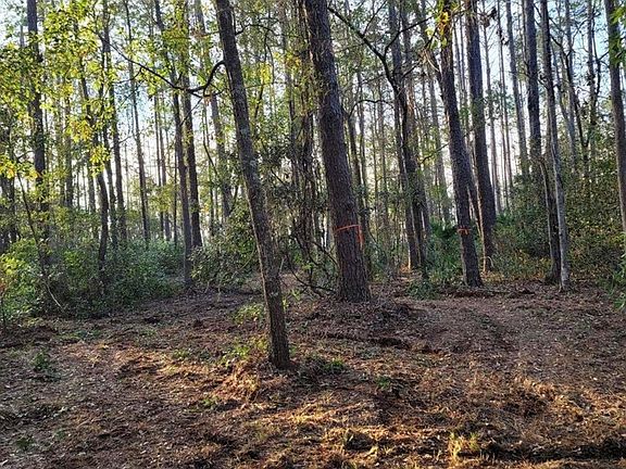 4th image of LOT-169A Winterberry Ct NE