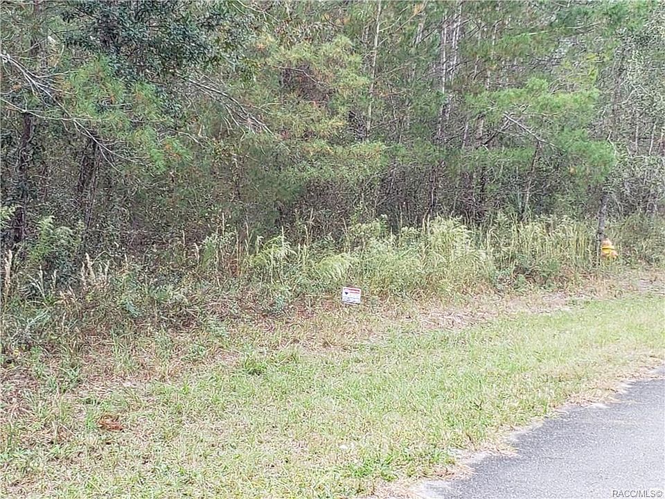 2nd image of 5 Palm Grass Ct