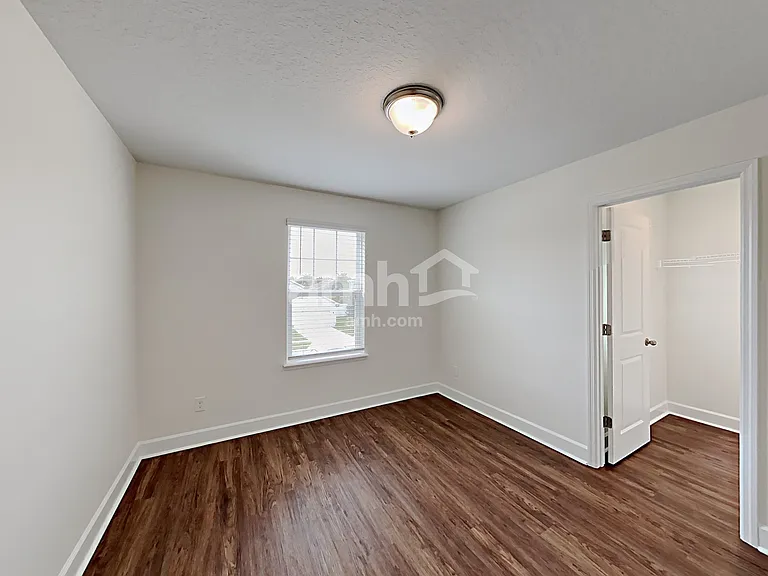 1397 Celery Palm Cv — Photo 28