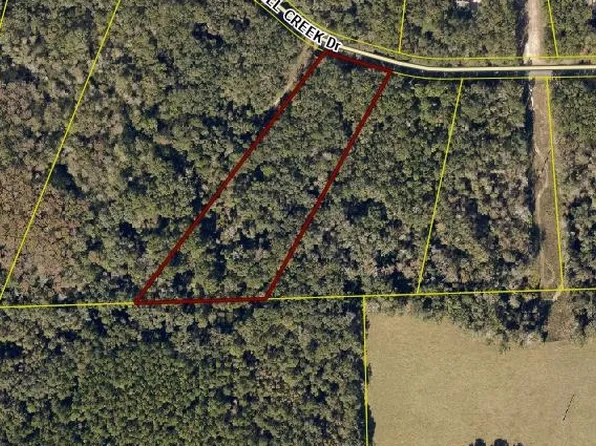 Tbd Sw Hill Creek Dr, Lake City, FL 32025