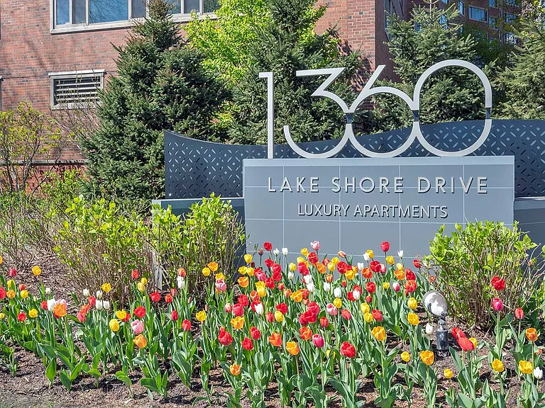 1351 N Lakeshore Dr #314 — Photo 9