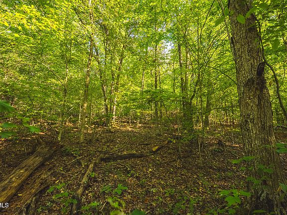3rd image of Stone Mountain Rd