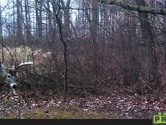 5th image of 0 Beech Church Rd