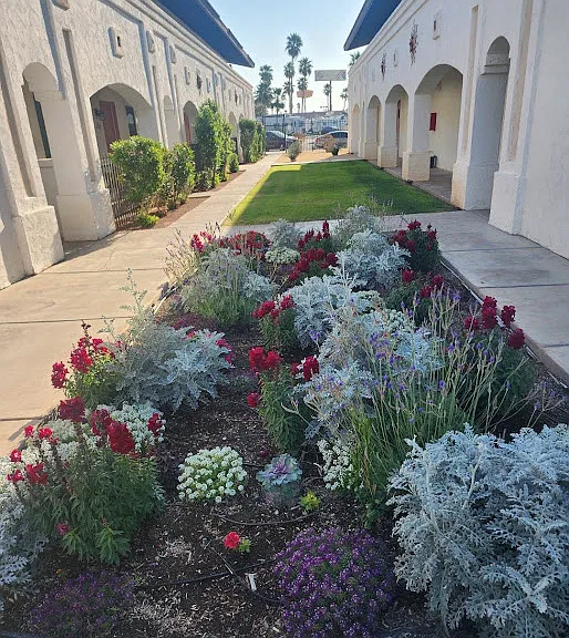 Desert Oasis — Photo 15