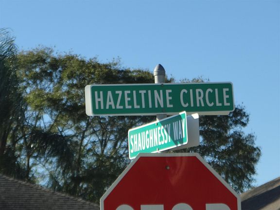 5th image of 7115 Hazeltine Cir