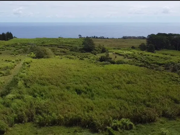 1 Three Private Rd Lot 1-3, Hakalau, HI 96710