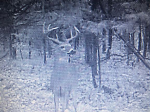 Hunt in your backyard! 
