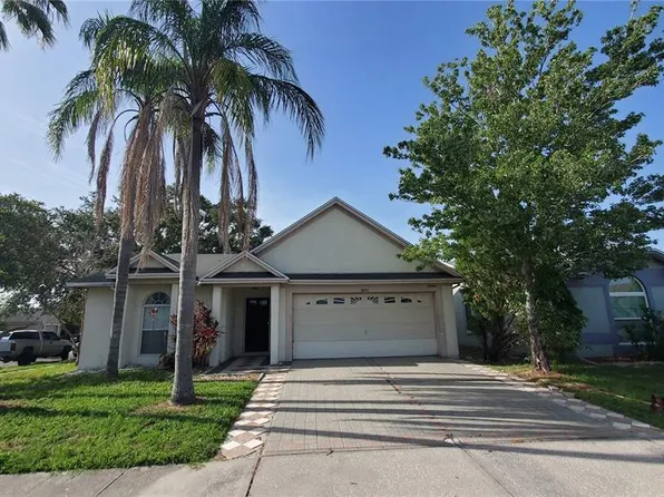 10024 Cedar Dune Dr, Tampa, FL 33624