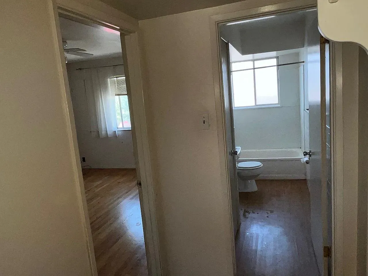 1 bed, 700 sqft, $775 — Photo 4