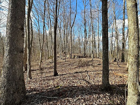 5th image of 6 Malone Ridge Rd #6