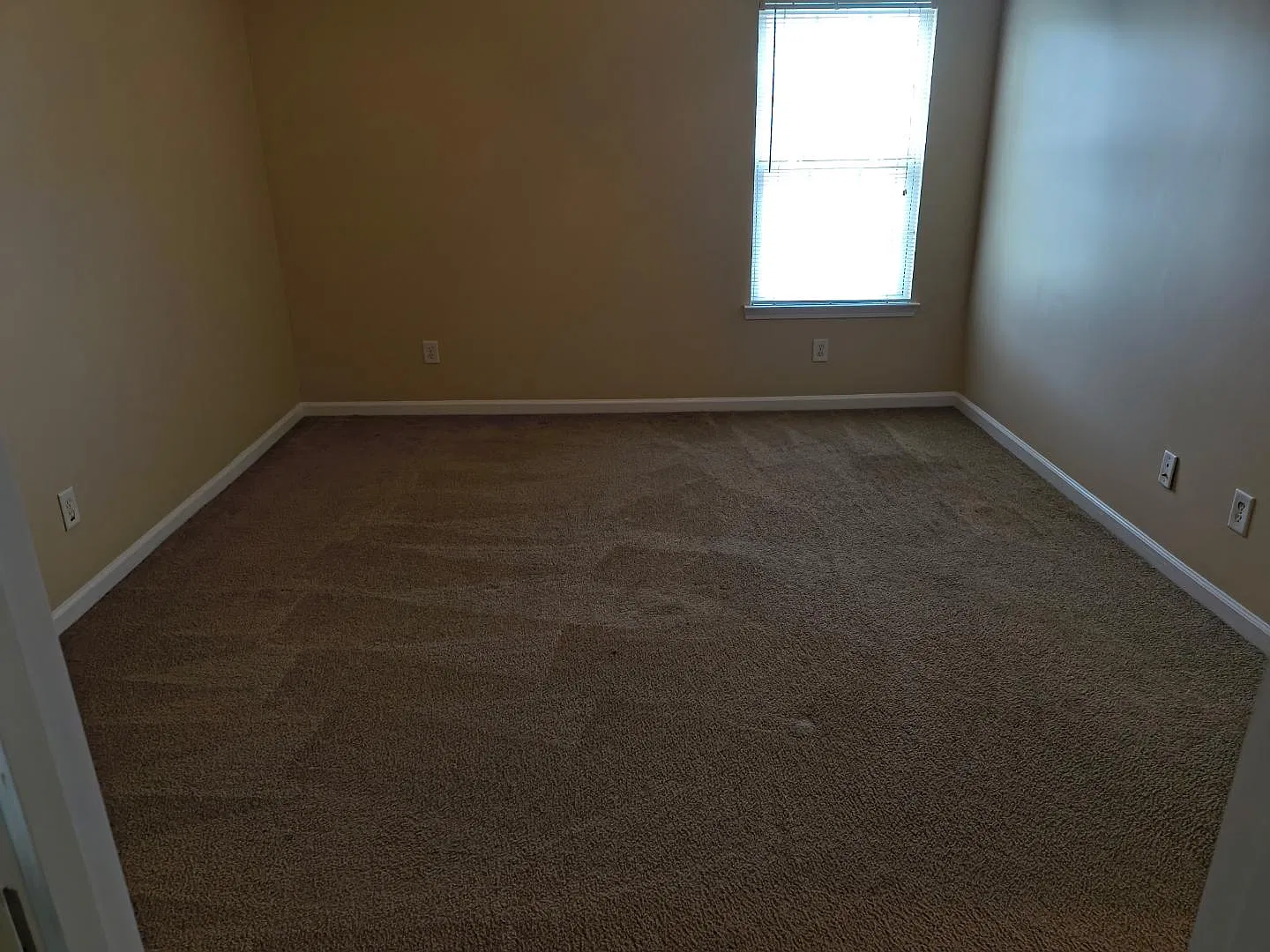 221 Polo Lane — Photo 3