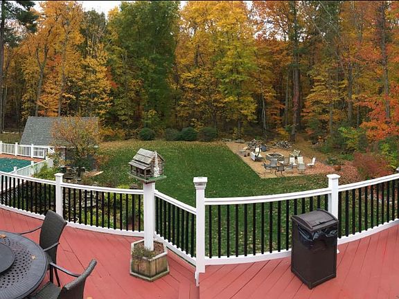 Back yard foliage
