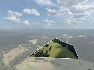 TRACT 2 An County Rd #153, Palestine, TX 75801