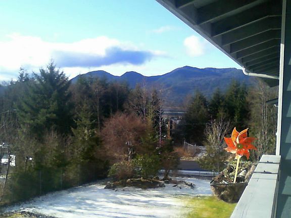 Large park like fenced yard