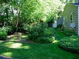 Side Yard