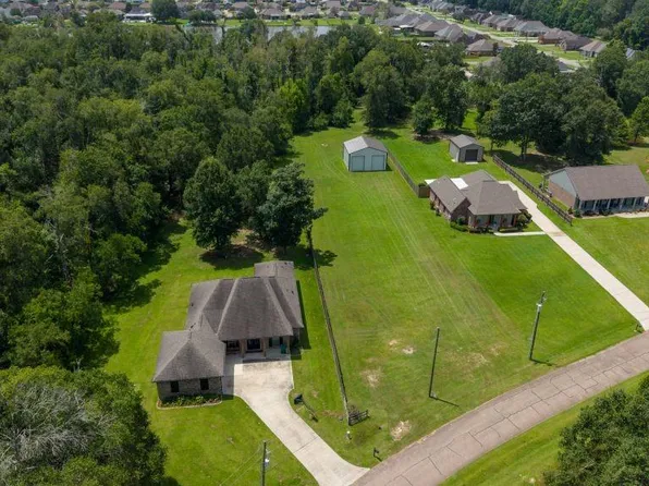 12289 Leblanc Ln, Walker, LA 70785