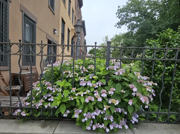 281 Court Street image 1 of 1