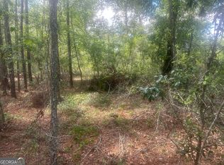 0 Robert Chapel Cemetery Rd, Glennville, GA 30427