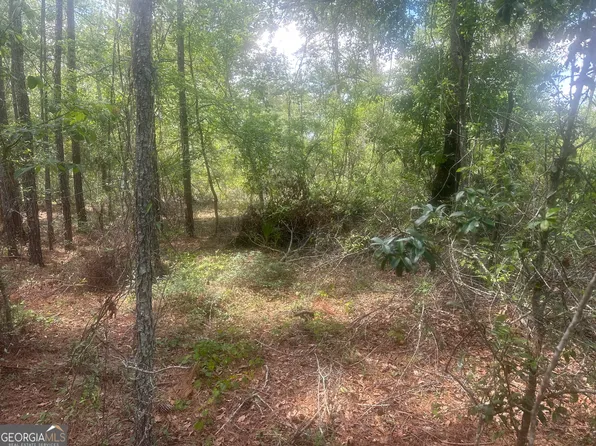 0 Robert Chapel Cemetery Rd, Glennville, GA 30427