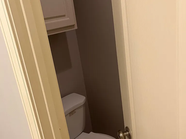 Master toilet