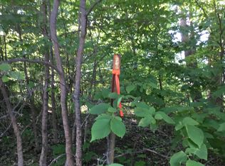 Forest Park Rd SW, Alexandria, MN 56308