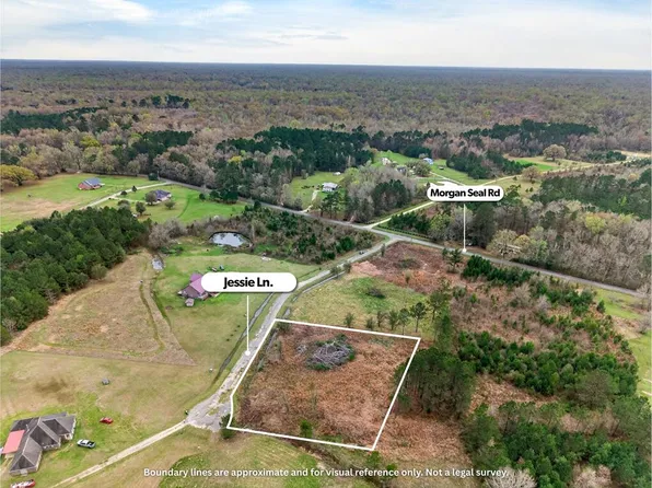 Nhn Jessie Ln, Picayune, MS 39466