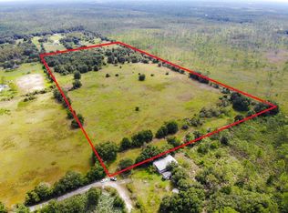 18578 1st St, Orlando, FL 32833