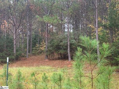 (Undisclosed Address), Laurens, SC, 29360