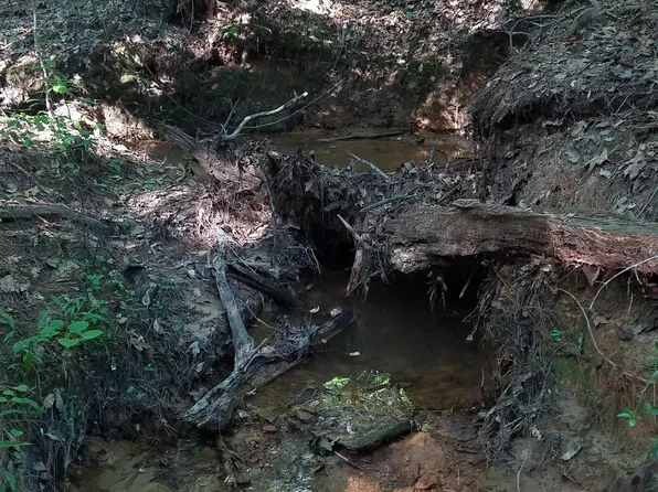 County Road 364 S, Henderson, TX 75654