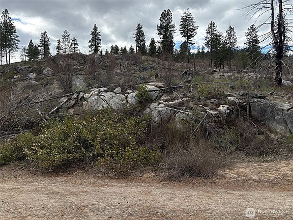 4th image of 1 N Cook Mt Road
