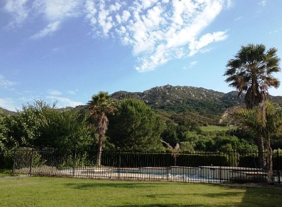 Back yard