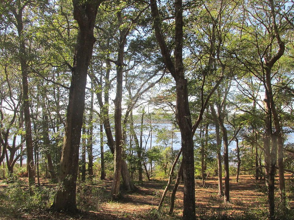 1st image of 2887 Island Drive SE LOT L-13