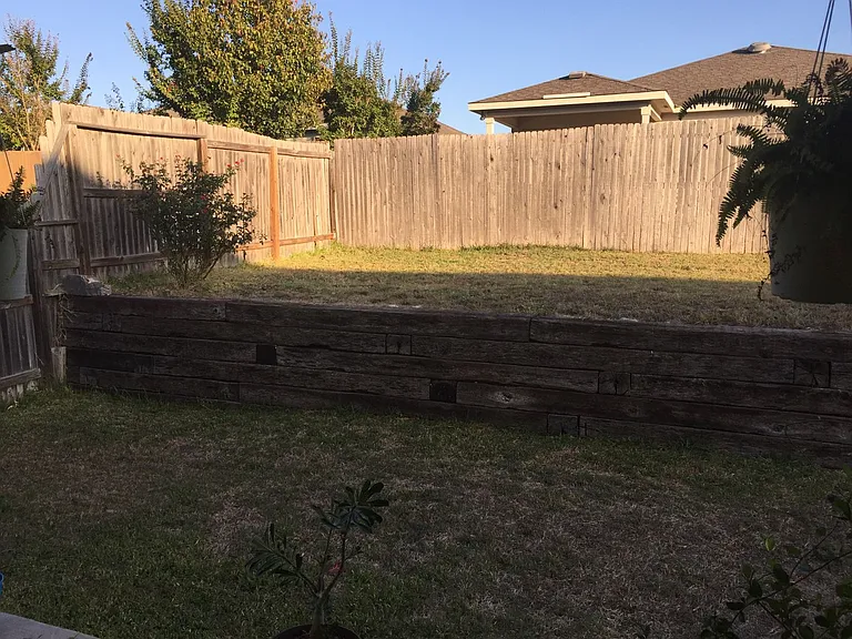 25714 Gold Yarrow — Photo 16