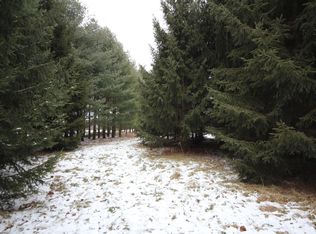 9403 E V Ave, Vicksburg, MI 49097