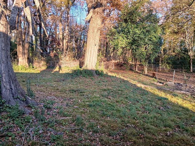 4136 Blenhein Rd — Photo 6