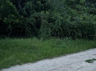 SE 135th Ln LOT 47, Umatilla, FL 32784