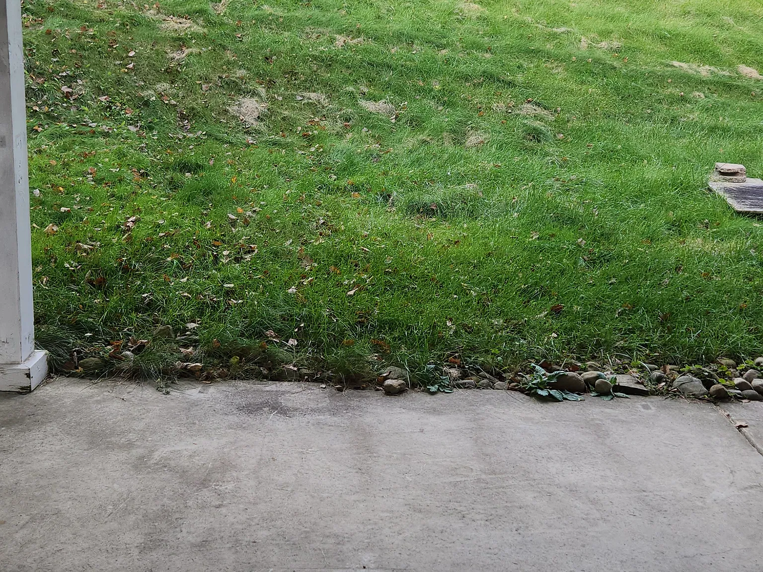 2 bed, 1096 sqft, $1,300 — Photo 3