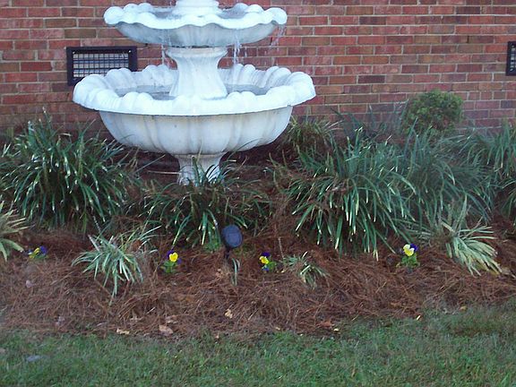 front flower bed 