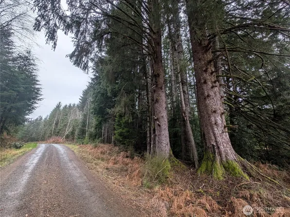 9991 Quillayute Road, Forks, WA 98331
