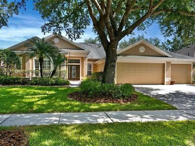 10240 Shadow Branch Dr, Tampa, FL, 33647