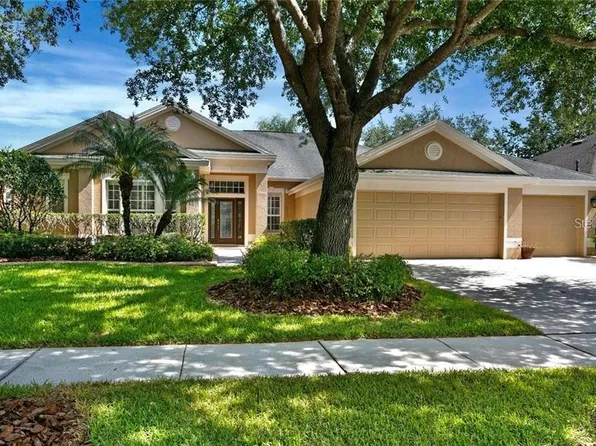 10240 Shadow Branch Dr, Tampa, FL 33647