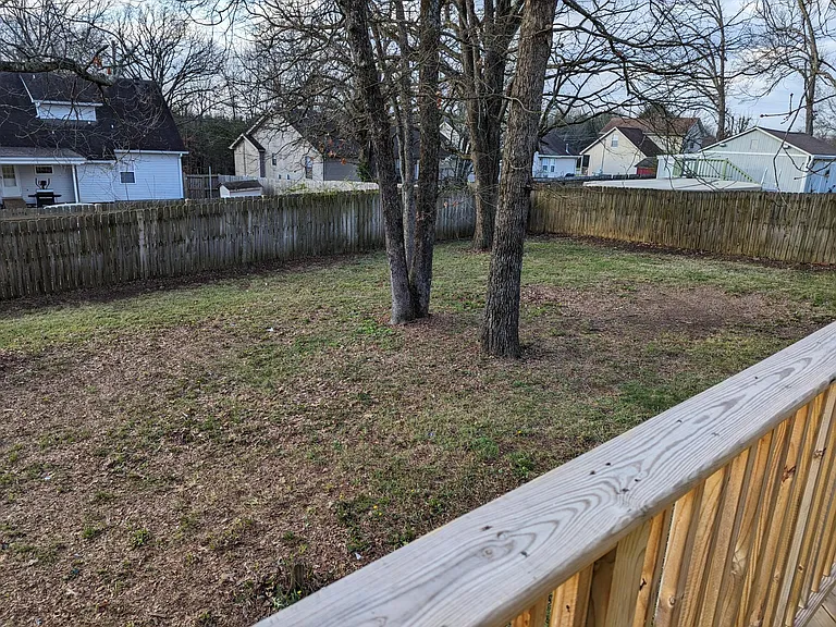 Back Yard