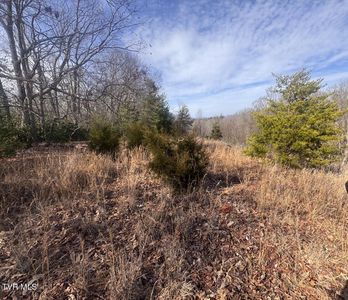 Jones Cir, Unicoi, TN, 37692